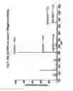 Fig. 04 - Method and system for desorption atmospheric pressure chemical ionization