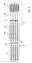 Fig. 09 - Optical switching in a lithography system