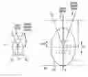 Fig. 01 - Method and apparatus for analyzing characteristic information of object with the use of mutual interaction between ultrasound wave and light