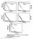 Fig. 10 - Surface-active amines and methods of using same to impede corrosion
