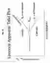 Fig. 17 - Surface-active amines and methods of using same to impede corrosion