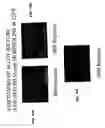 Fig. 19 - Surface-active amines and methods of using same to impede corrosion