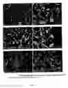 Fig. 31 - Surface-active amines and methods of using same to impede corrosion
