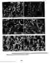 Fig. 34 - Surface-active amines and methods of using same to impede corrosion