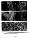 Fig. 40 - Surface-active amines and methods of using same to impede corrosion