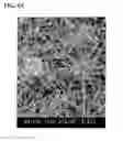 Fig. 08 - Electroconductive particle, visible light transmitting particle-dispersed electrical conductor and manufacturing method thereof, transparent electroconductive thin film and manufacturing method thereof, transparent electroconductive article that uses the same, and infrared-shielding article