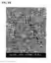 Fig. 09 - Electroconductive particle, visible light transmitting particle-dispersed electrical conductor and manufacturing method thereof, transparent electroconductive thin film and manufacturing method thereof, transparent electroconductive article that uses the same, and infrared-shielding article
