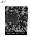 Fig. 13 - Electroconductive particle, visible light transmitting particle-dispersed electrical conductor and manufacturing method thereof, transparent electroconductive thin film and manufacturing method thereof, transparent electroconductive article that uses the same, and infrared-shielding article