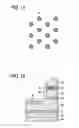 Fig. 08 - SEMICONDUCTOR DEVICE AND METHOD OF FORMING THE SAME