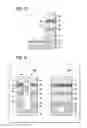 Fig. 09 - SEMICONDUCTOR DEVICE AND METHOD OF FORMING THE SAME
