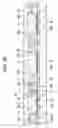 Fig. 08 - Light-emitting device and method for manufacturing the same