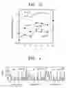 Fig. 03 - Unipolar nanotube and field effect transistor having the same
