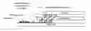Fig. 01 - RFIC die and package