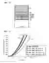 Fig. 08 - Semiconductor apparatus including a radiator for diffusing the heat generated therein