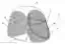 Fig. 01 - Easy pop-up net for ball games