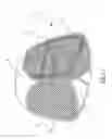 Fig. 02 - Easy pop-up net for ball games