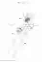 Fig. 09 - Studying chopstick for developing children's intellectual powers