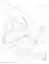 Fig. 01 - Vehicle utility mat