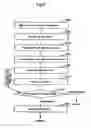 Fig. 09 - Testing and manufacturing method of magnetic heads