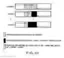 Fig. 33 - Moving picture coding and/or decoding systems, and variable-length coding and/or decoding system