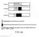 Fig. 33 - MOVING PICTURE CODING AND/OR DECODING SYSTEMS, AND VARIABLE-LENGTH CODING AND/OR DECODING SYSTEM
