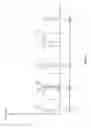 Fig. 04 - Radar protection device for wireless networks