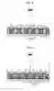 Fig. 09 - Display medium and method of manufacturing display medium