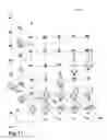 Fig. 12 - Morphological genome for design applications