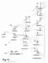 Fig. 14 - Morphological genome for design applications