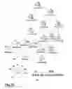 Fig. 23 - Morphological genome for design applications
