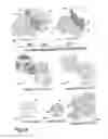 Fig. 25 - Morphological genome for design applications