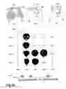 Fig. 26 - Morphological genome for design applications