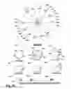 Fig. 27 - Morphological genome for design applications