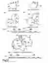 Fig. 28 - Morphological genome for design applications