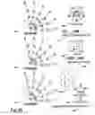 Fig. 31 - Morphological genome for design applications