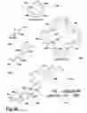 Fig. 35 - Morphological genome for design applications