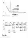 Fig. 40 - Morphological genome for design applications