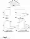 Fig. 43 - Morphological genome for design applications