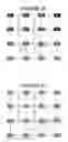 Fig. 08 - System and method for fast efficient contour shading of sampled data