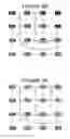 Fig. 09 - System and method for fast efficient contour shading of sampled data