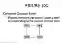 Fig. 37 - System and method for fast efficient contour shading of sampled data