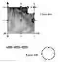Fig. 74 - System and method for fast efficient contour shading of sampled data