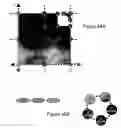 Fig. 76 - System and method for fast efficient contour shading of sampled data