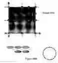 Fig. 77 - System and method for fast efficient contour shading of sampled data
