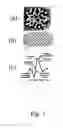 Fig. 02 - Mapping retinal function using corneal electrode array