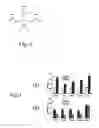 Fig. 03 - Mapping retinal function using corneal electrode array