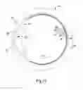 Fig. 11 - Mapping retinal function using corneal electrode array