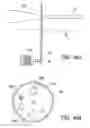 Fig. 49 - Apparatus and method for measuring optical characteristics of teeth