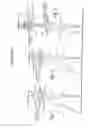 Fig. 03 - Fluorescence filtering system and method for molecular imaging