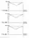 Fig. 10 - Light irradiation apparatus, light irradiation method, crystallization apparatus, crystallization method, device, and light modulation element